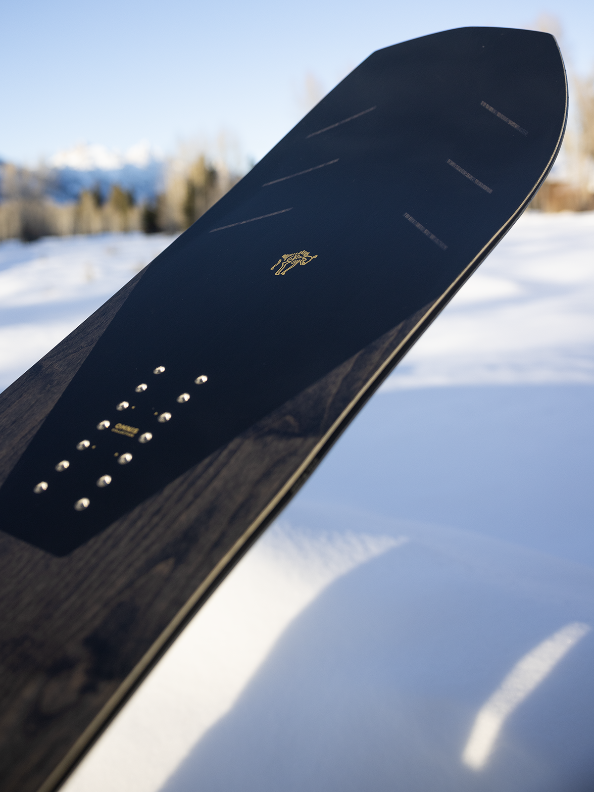 Arbor Bryan Iguchi Pro Men's Snowboard 2026