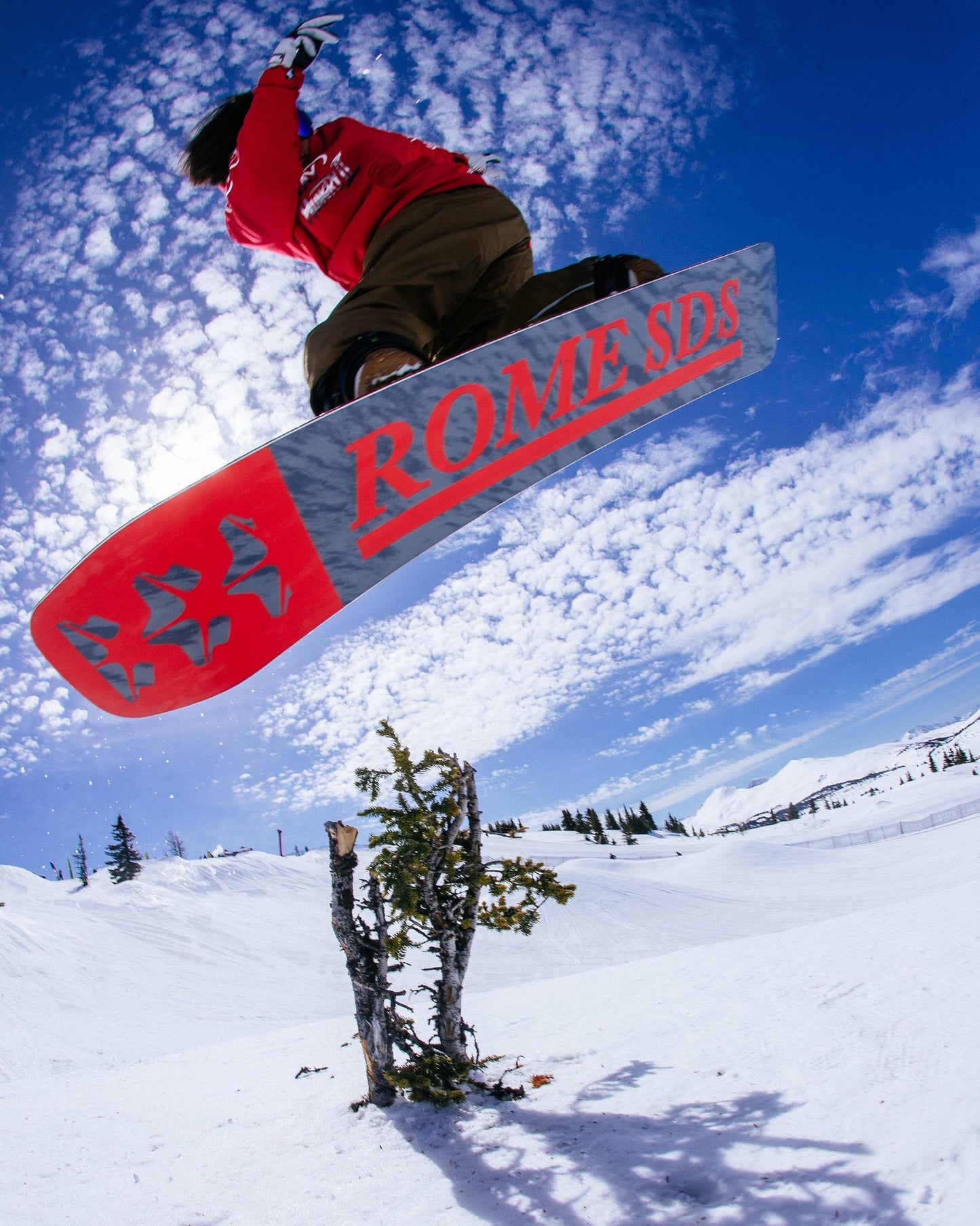 Rome Ravine Men's Snowboard 2024