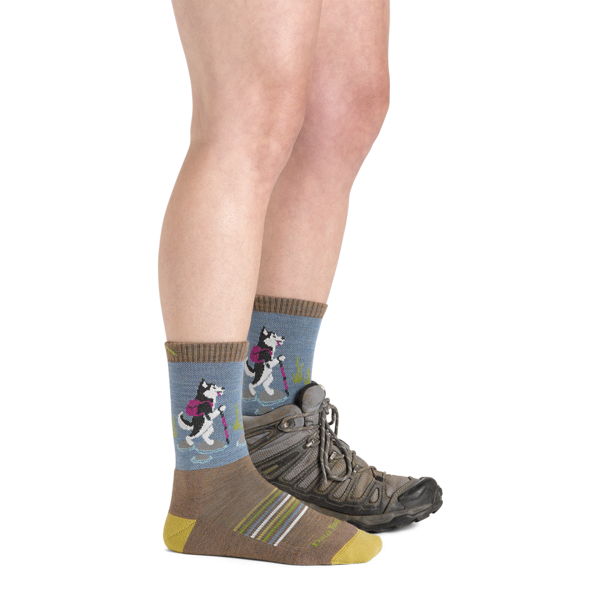 Darn Tough Women's Critter Club Micro Crew Lightweight Hiking Socks