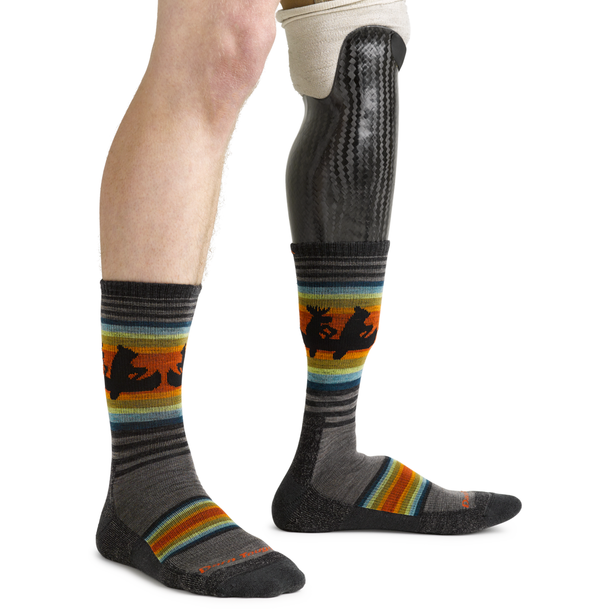 Darn Tough Men's Willoughby Micro Crew Lightweight Hiking Socks