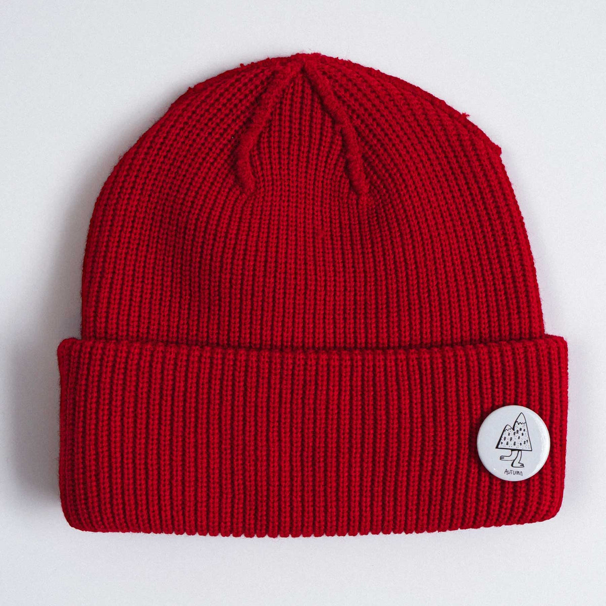 Autumn DIY Beanie 2027