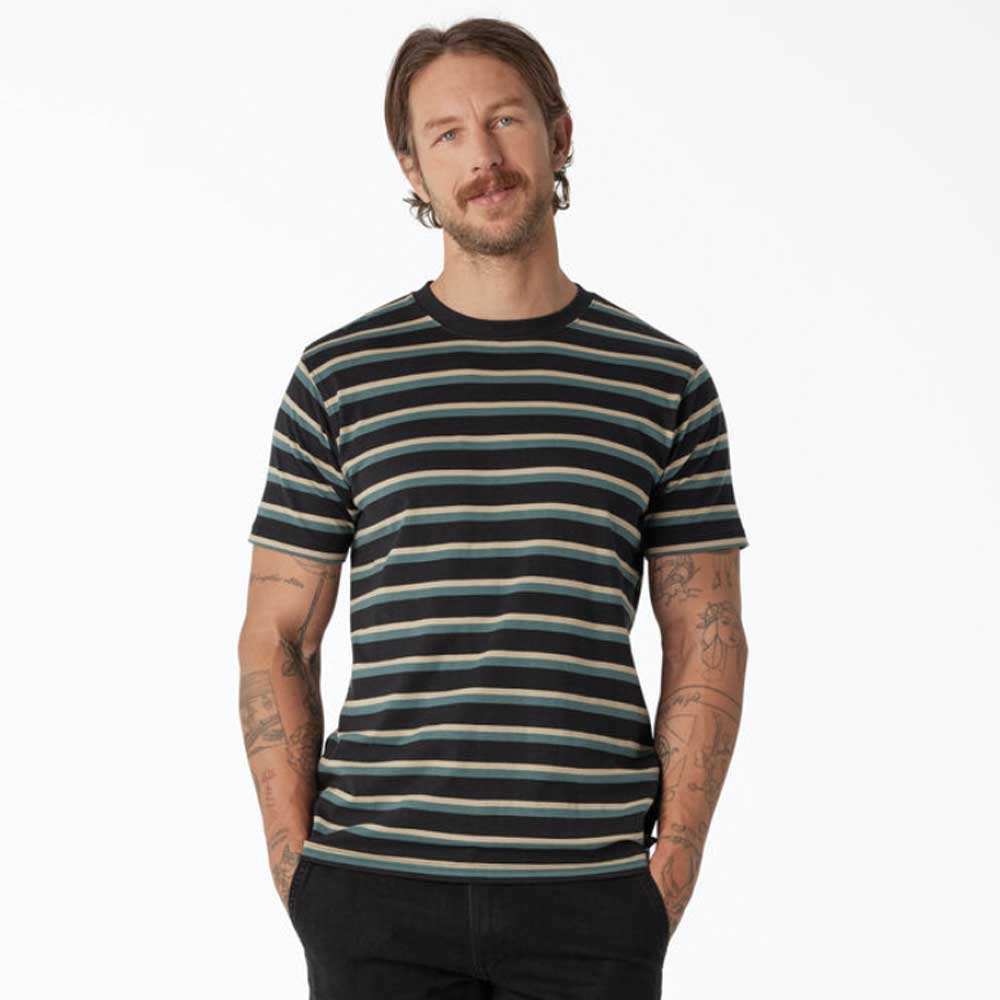 Dickies Skateboarding Striped T-Shirt - Black/Lincoln