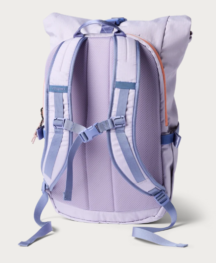 Cotopaxi Consuelo 22L Daypack
