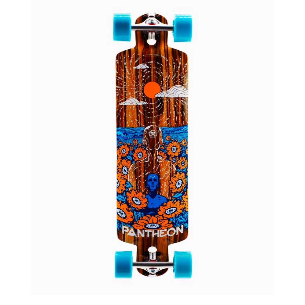 Pantheon Trip Complete Longboard