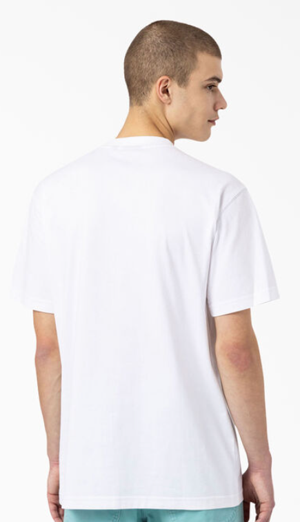 Dickies Skateboarding Mount Vista T-Shirt - White