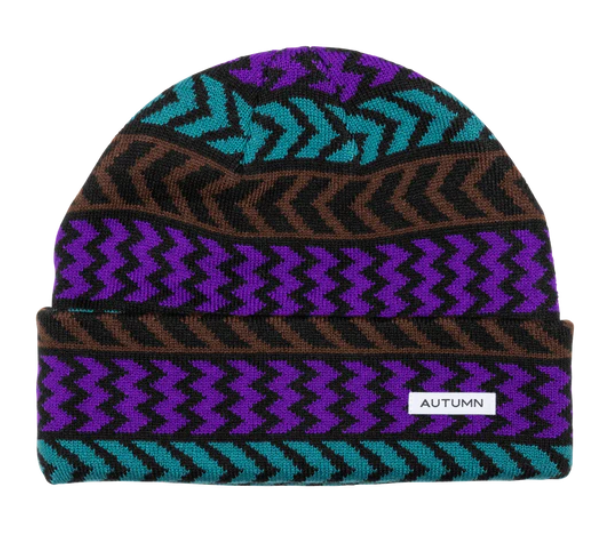 Autumn Chevron Beanie 2023 - Purple
