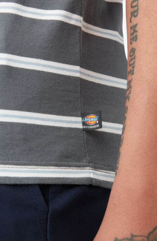 Dickies Skateboarding Striped T-Shirt - Charcoal Mini