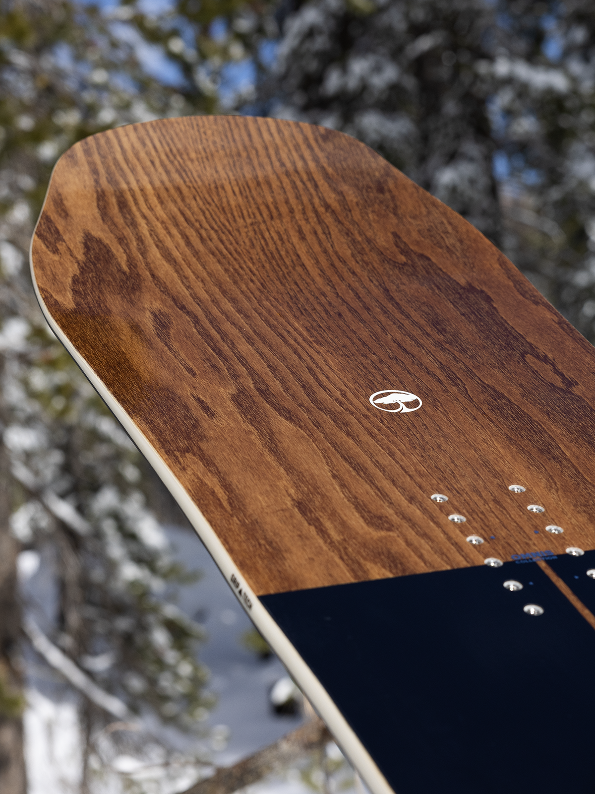 Arbor Element Men's Snowboard 2026