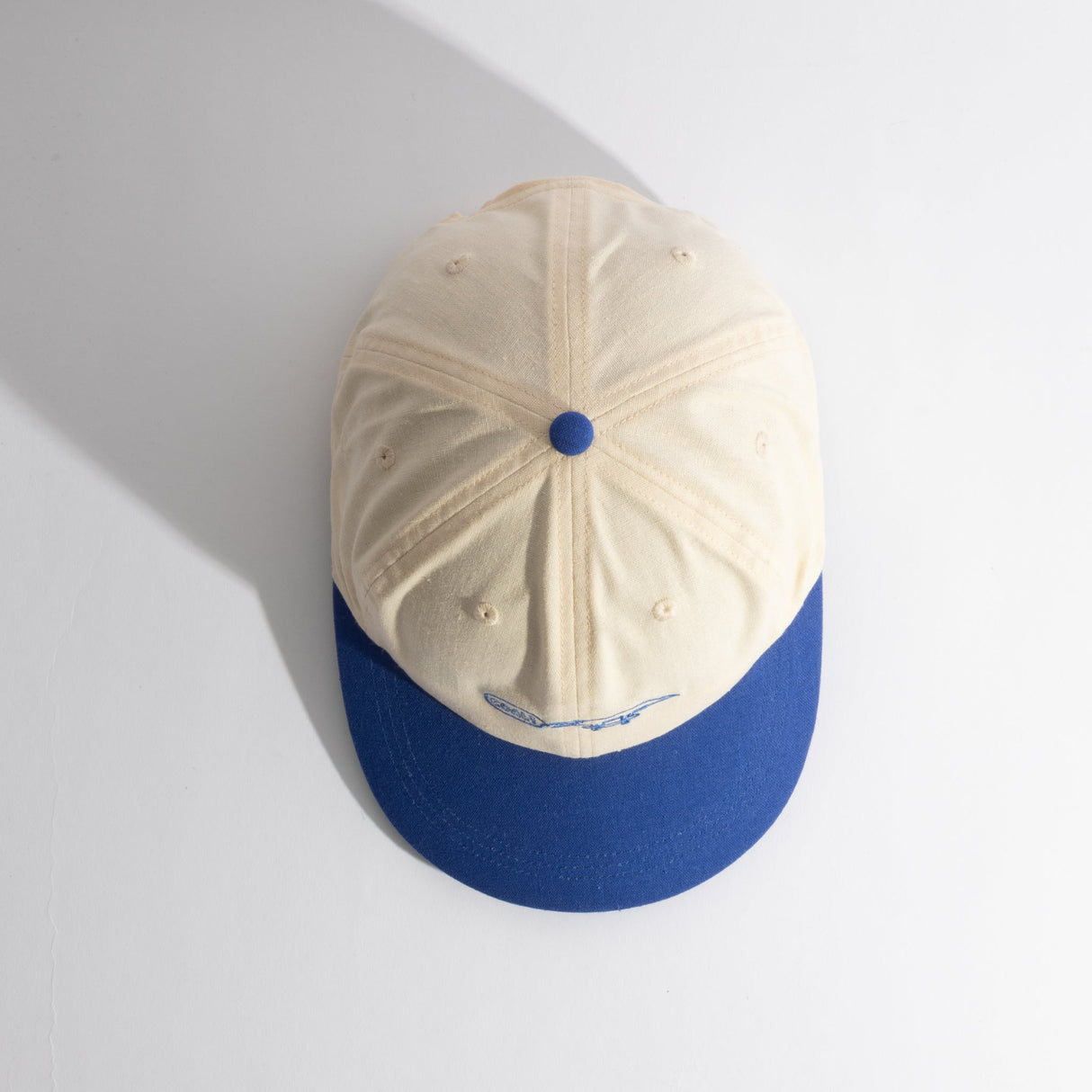 Coal Evergreen Vintage 6-Panel Cap 2026