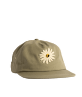 Coal Hayes 6-Panel Cap 2026
