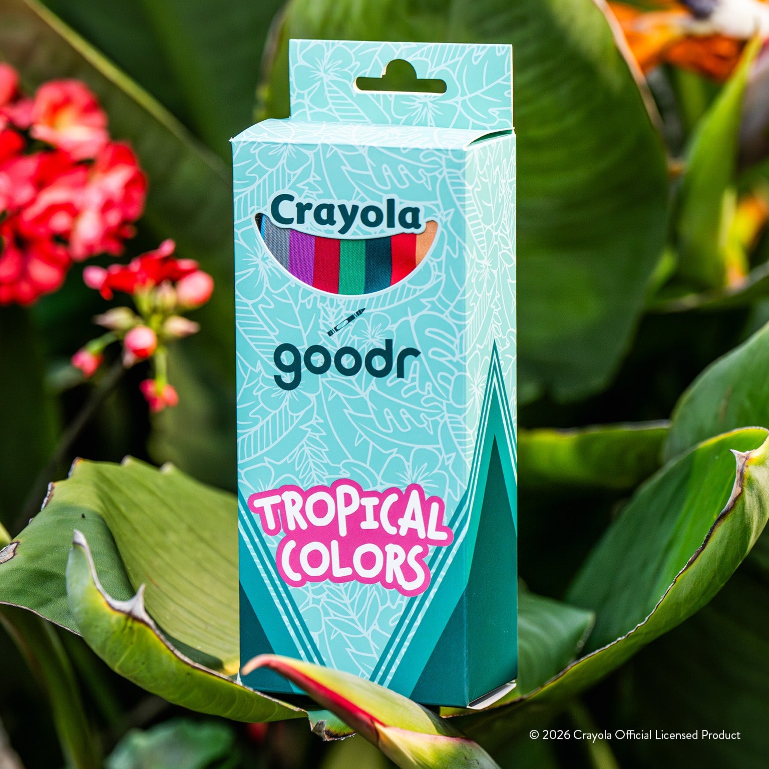 Goodr OGs Crayola Tropical Colors Palm Leaf Sunglasses – Focus