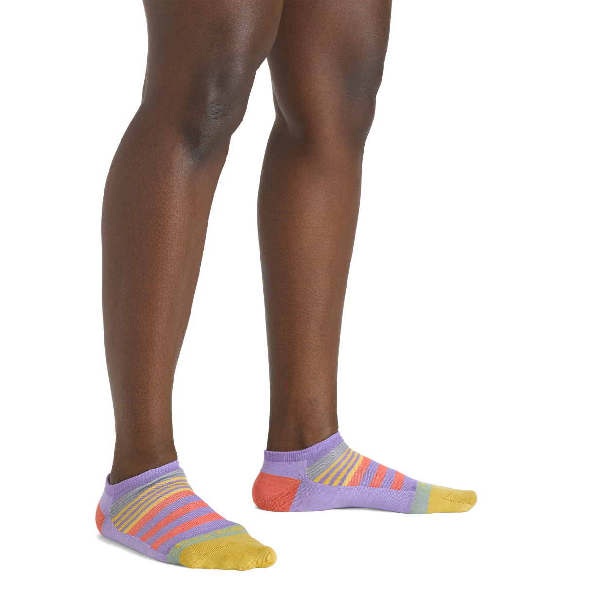 Darn Tough Women's Beachcomber No Show Lightweight Lifestyle Socks