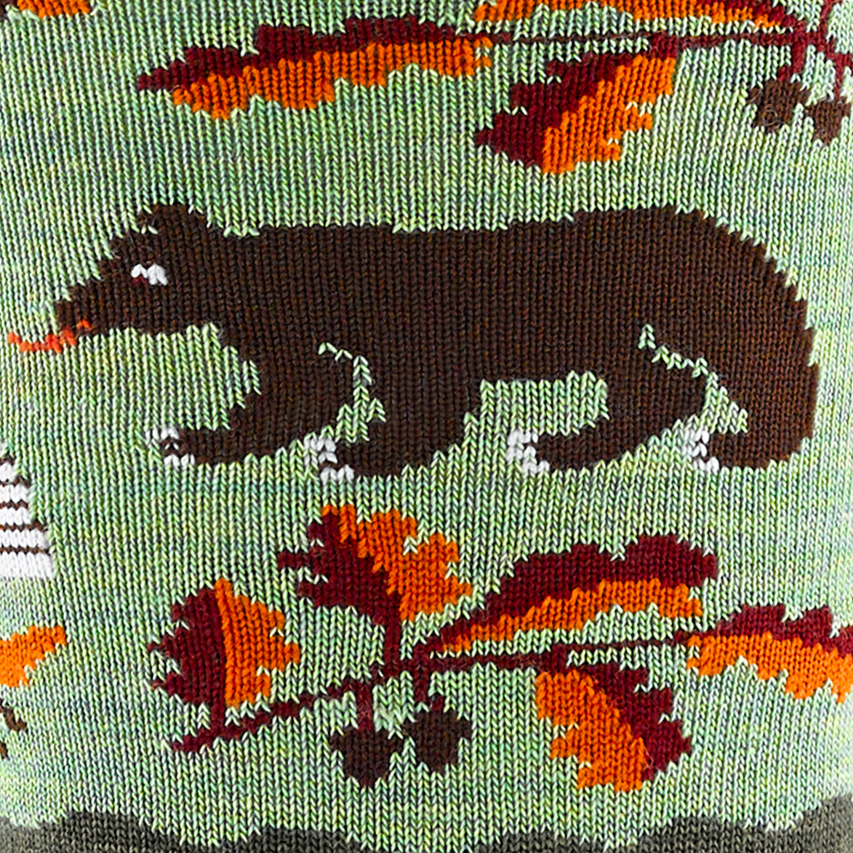 Darn Tough Women's Wild Life Crew Lightweight Lifestyle Socks