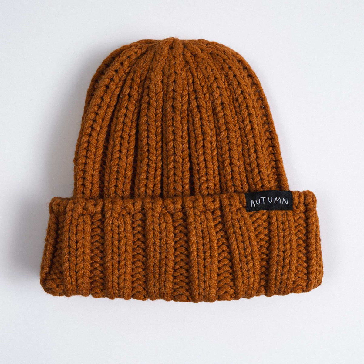 Autumn Thrift Beanie 2027