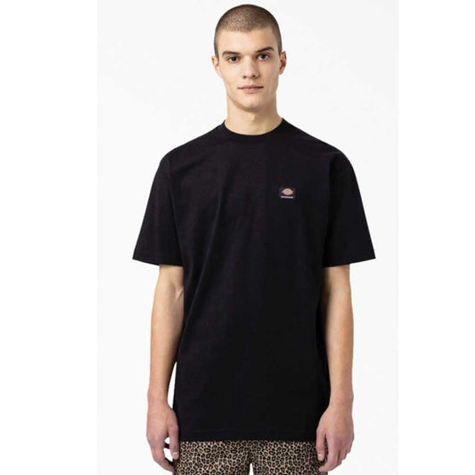 Dickies Skateboarding Mount Vista T-Shirt - Black