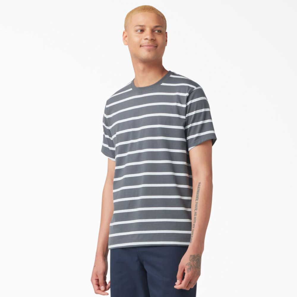 Dickies Skateboarding Striped T-Shirt - Charcoal Mini