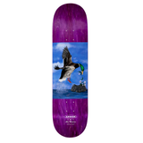 Arbor Skateboards Alec Majerus Origins Skateboard Deck 8.38"
