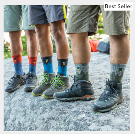 Darn Tough Men's Number 2 Micro Crew Midweight Hiking Socks