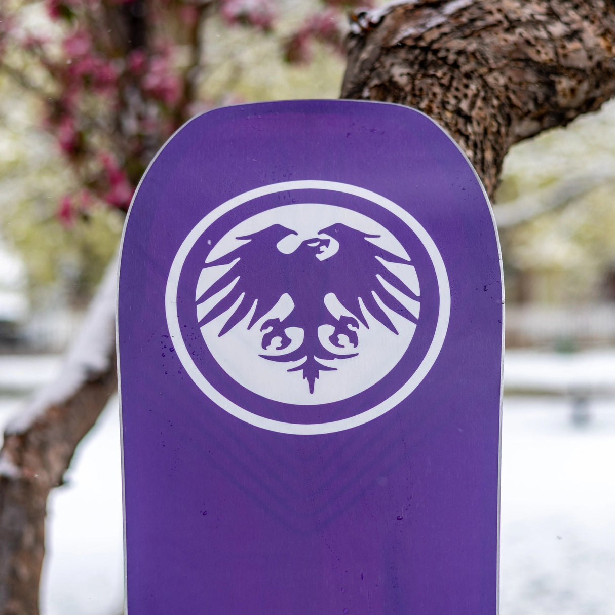 Never Summer Women's Proto Type 3 Snowboard 2027 - base graphic
