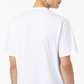 Dickies Skateboarding Mount Vista T-Shirt - White