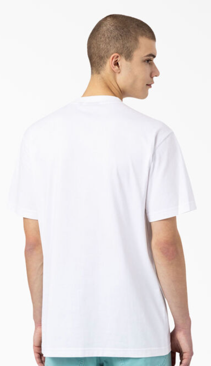Dickies Skateboarding Mount Vista T-Shirt
