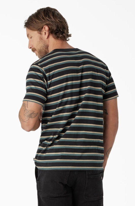 Dickies Skateboarding Striped T-Shirt - Black/Lincoln